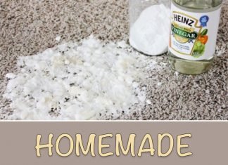 Homemade Carpet Cleaner Recipes