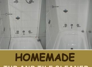 Homemade Tub And Tile Cleaner