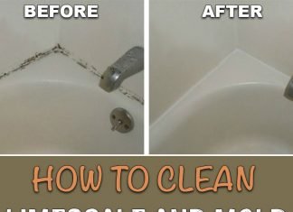 How to Clean Limescale and Mold