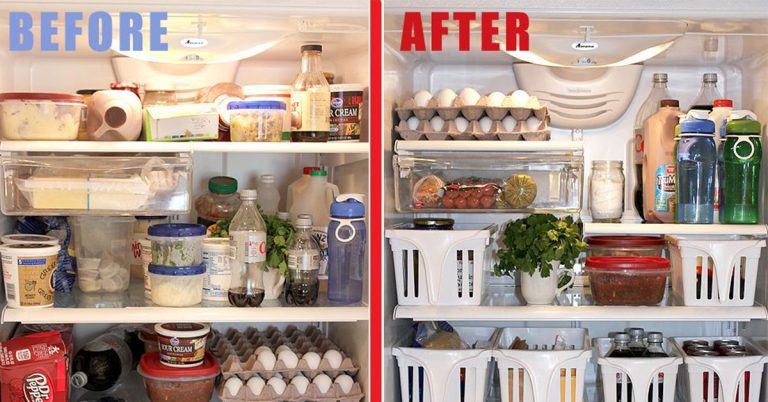 How To Organize And Disinfect The Fridge