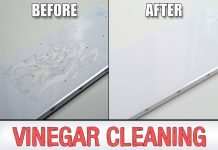 Vinegar Cleaning Hacks Everyone Should Know